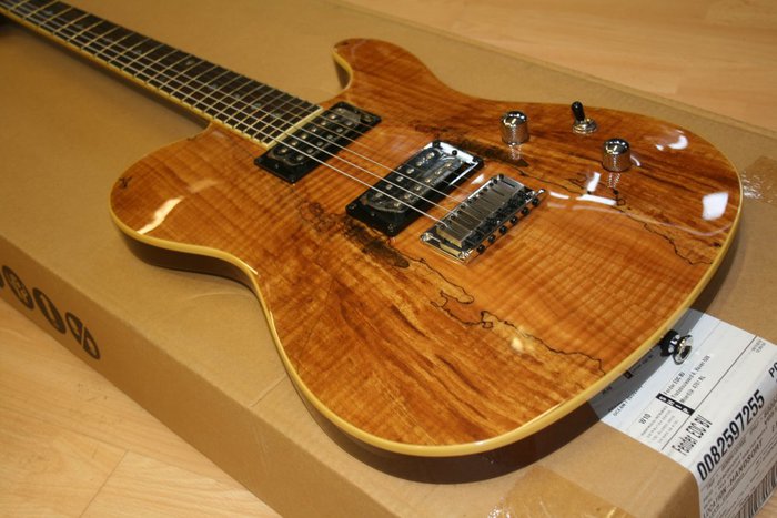 fender-tele-spalted.jpg